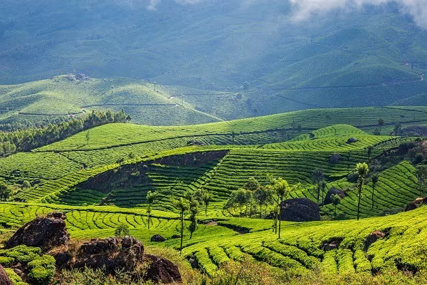 Aventures au Kerala